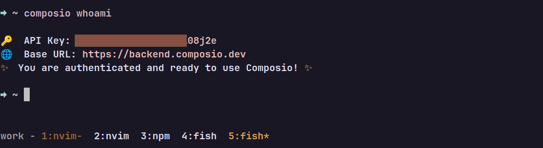 Output of the composio whoami command