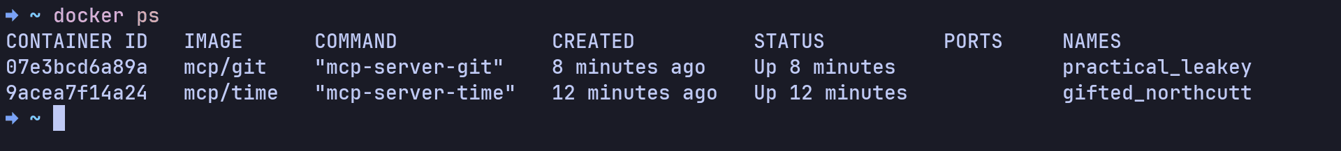 Docker containers running MCP locally