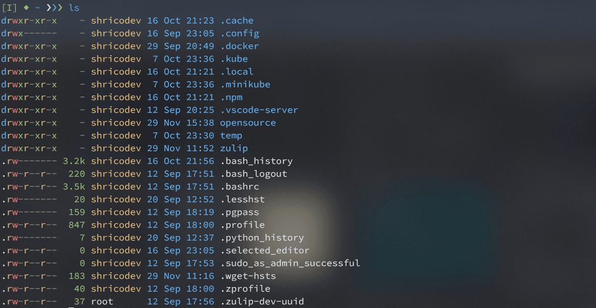 exa cli tool